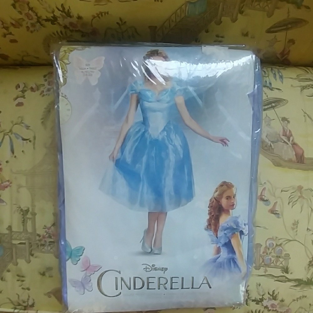 Disney Cinderella Adult Costume Size: Large *